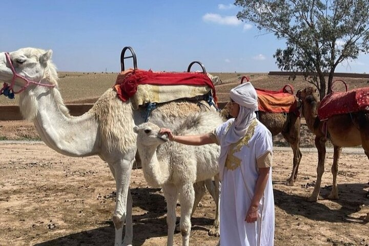 Dinner in Agafay Desert with sunset and camel Ride  - Photo 1 of 12