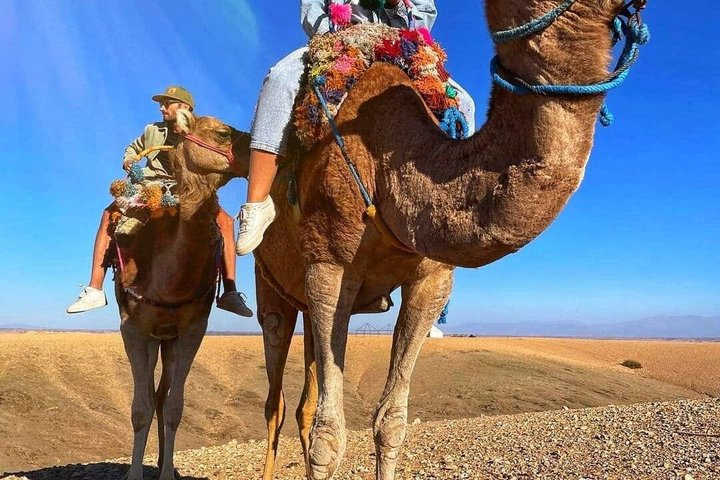 Marrakech: Camel Ride, Quad Bike, Sunset Dinner in Desert Agafay - Photo 1 of 9