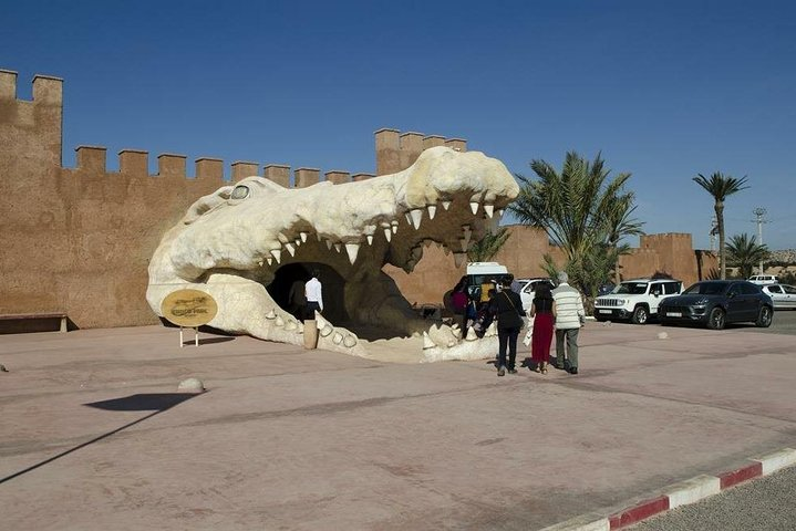 Discover the Fascinating World of Crocopark Agadir - Photo 1 of 16