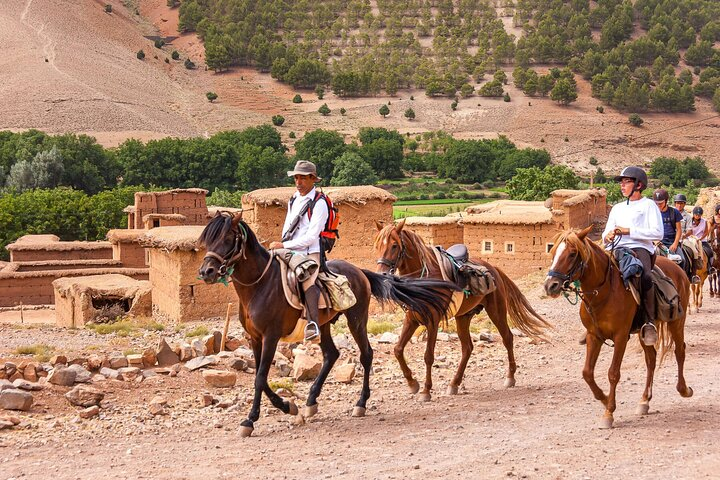 Enjoy a Scenic Horseback Ride in the Marrakech Atlas Mountains