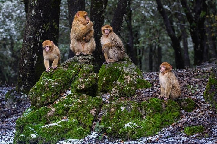 Enjoy your 3 days from Fez to the Merzouga desert - Photo 1 of 10
