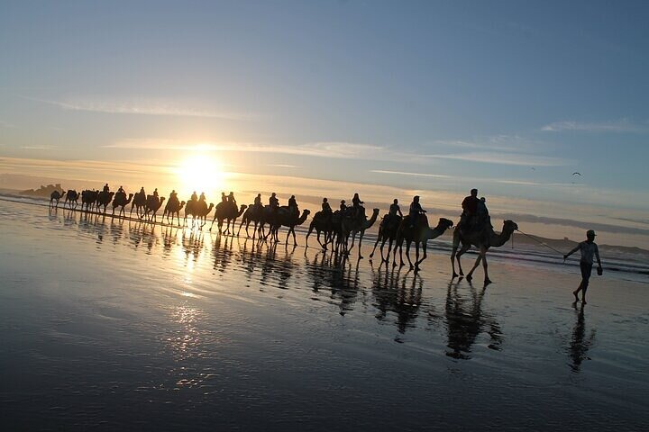 Essaouira P13: 2h quad + 2h camel free transfer - Photo 1 of 15