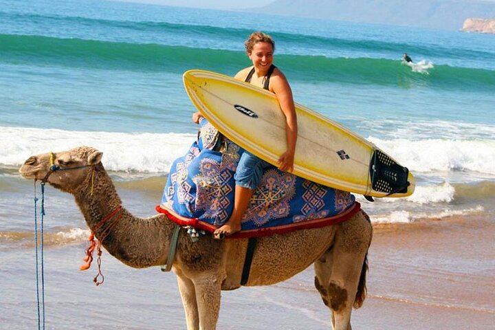 Essaouira Beach: Private Full-Day Luxury Trip from Marrakech - Photo 1 of 24