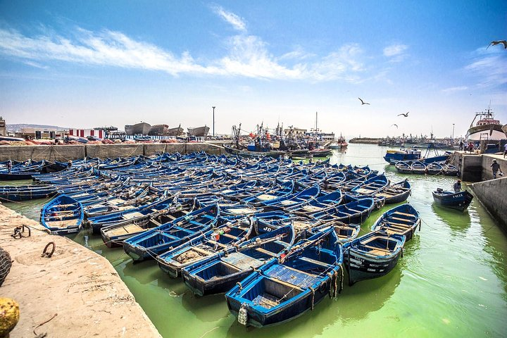 Essaouira Day trip from Agadir - Photo 1 of 5