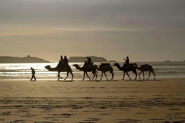Essaouira Day Trip From Marrakech - Photo 1 of 8