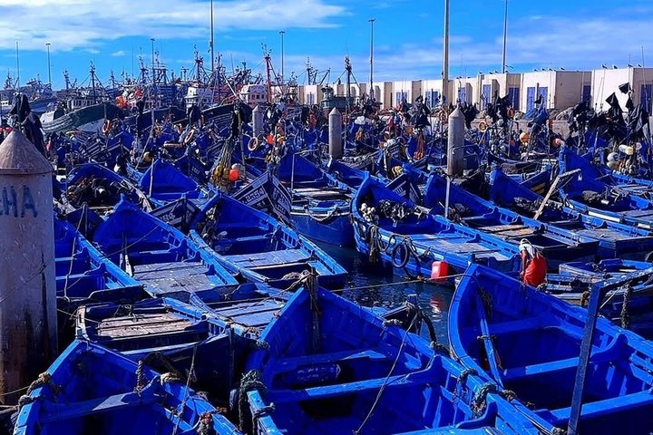 Essaouira day trip private tours - Photo 1 of 10