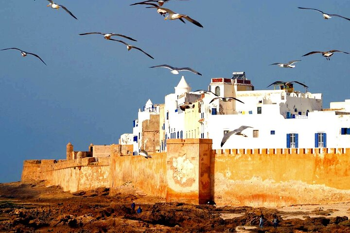 Discover Essaouira’s Ocean Beauty with an Expert Local Guide - Photo 1 of 13