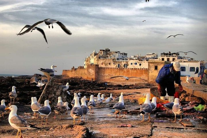 Essaouira fishing Town - Photo 1 of 18