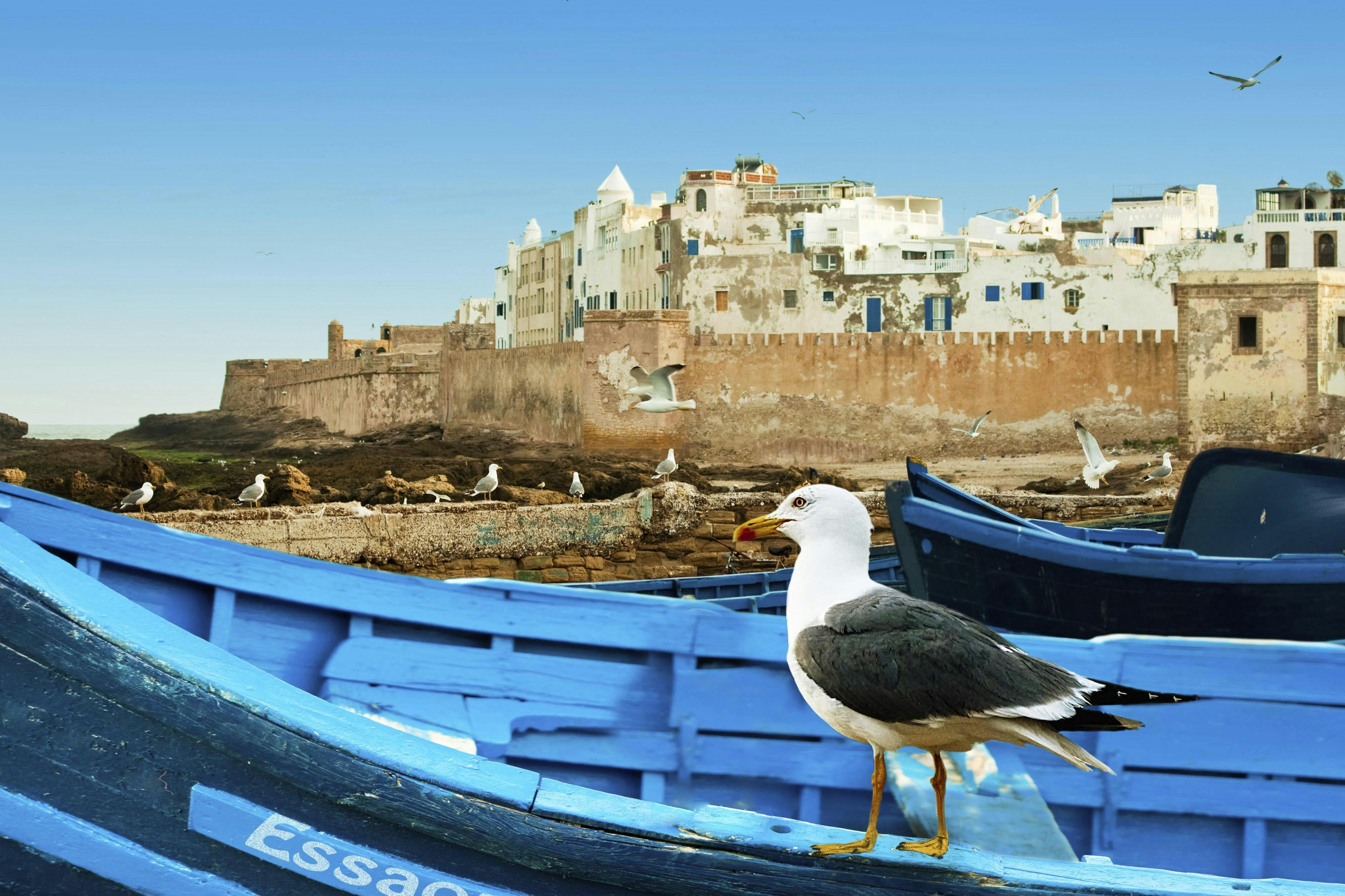 Essaouira: Guided Day Tour + Pickup from Marrakech - Photo 1 of 3
