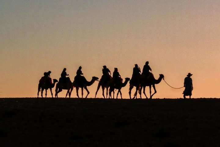 Quad Bike and Camel Ride in Marrakech Palm Groves with Sunset - Photo 1 of 11