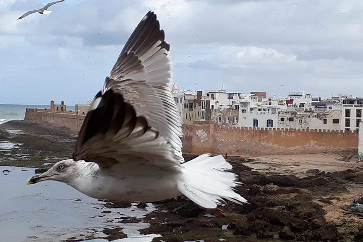 Essaouira one day Trip from Marrakech  - Photo 1 of 7