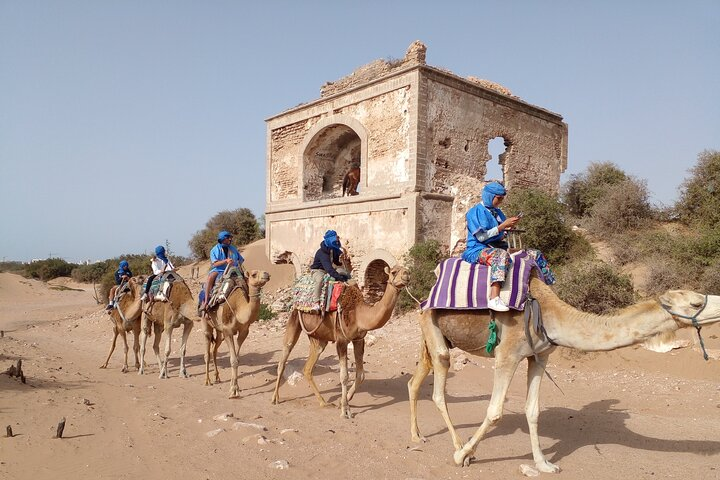Camel ride or quad bike ride.. pick up, drop off. including - Photo 1 of 17
