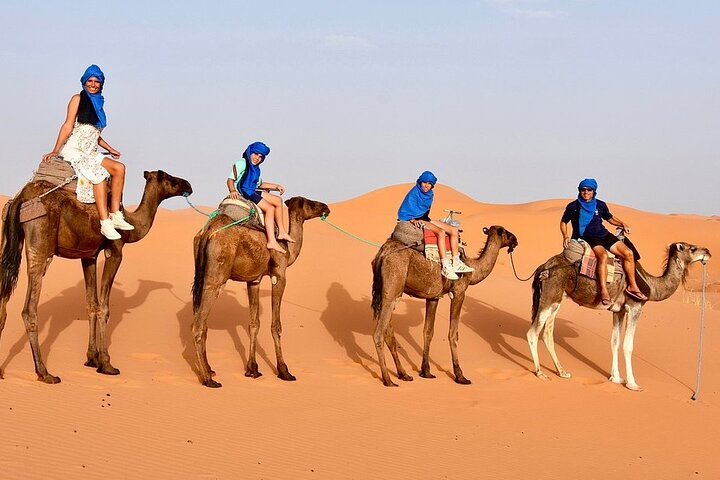 Camel ride in the dunes of Tinfou