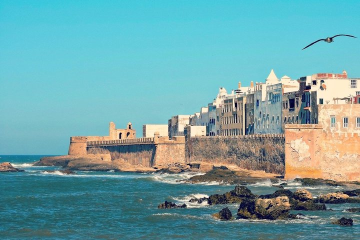 Explore Essaouira and Taste Local Delights from Marrakesh - Photo 1 of 7
