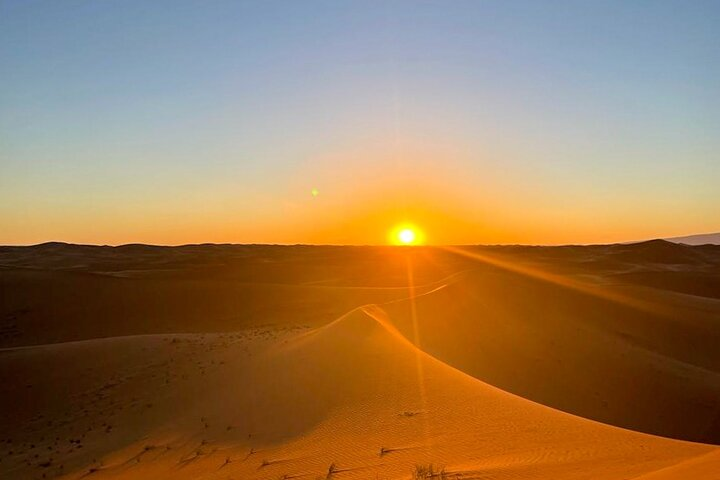 Explore the majesty of the Sahara 