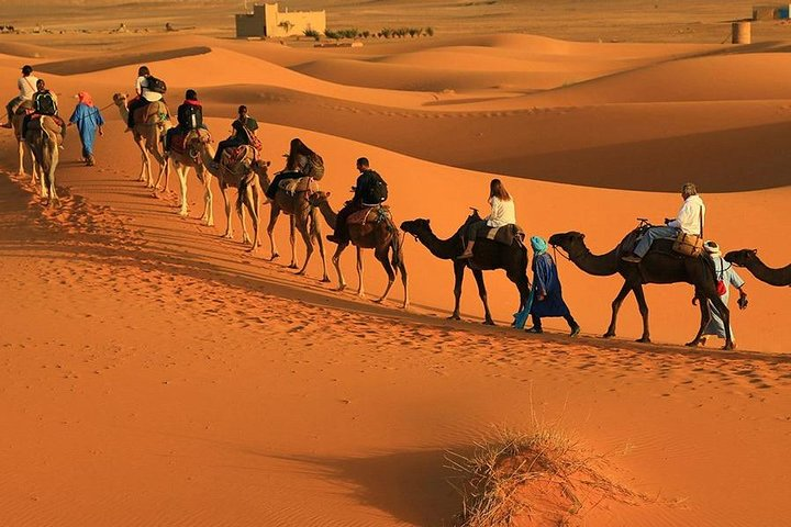 fes to marrakech 3 days desert tour peaceful morocco travel