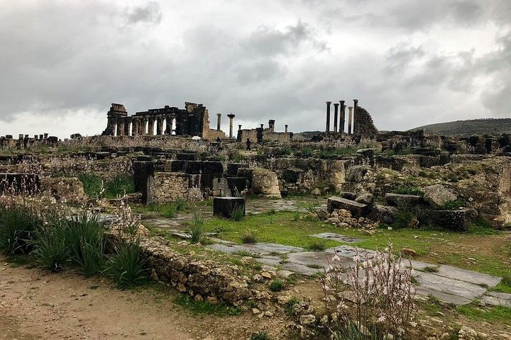 Fes to volubilis and meknes day trip - Photo 1 of 3