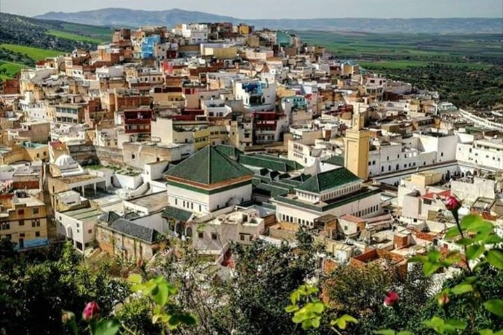 Fes to Volubilis, Moulay Idriss and Meknes Private Day Trip - Photo 1 of 13
