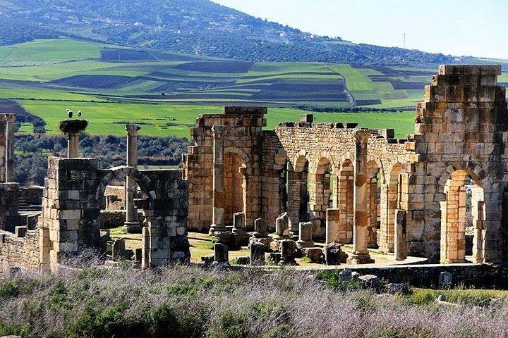 Volubilis view