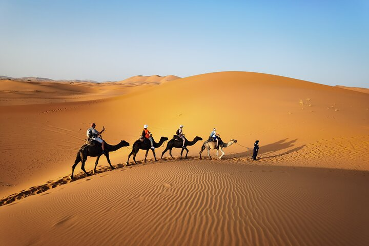 Fez to Merzouga Desert Trip camel ride and night camp - Photo 1 of 15