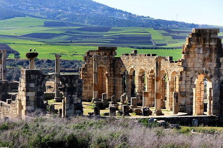 fes to volubilis and meknes day trip