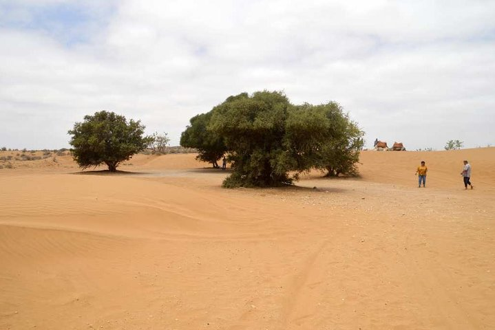 From Agadir : guided desert tour 8am to 5pm - Photo 1 of 5