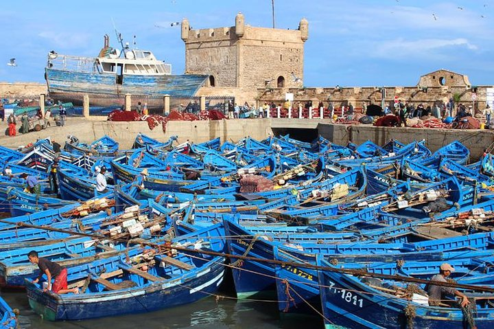 Day Trip to Essaouira From Marrakech - Photo 1 of 22