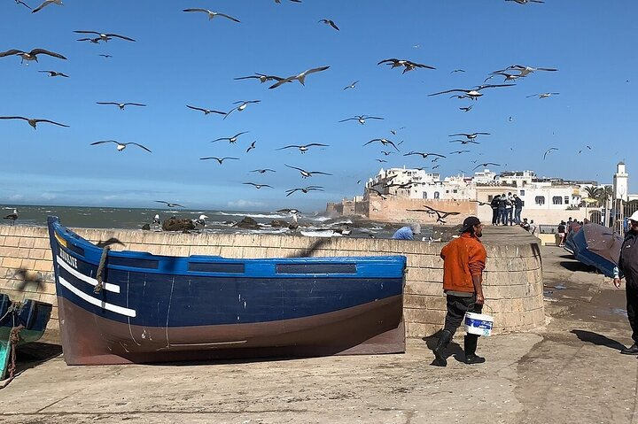 From Marrakech: Full-Day Trip to Essaouira - Photo 1 of 25