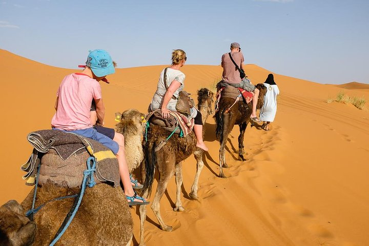 From Agadir: Zagora Desert. Overnight stay - 1 night and 2 days - Photo 1 of 8