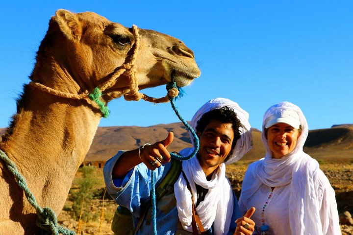 From Marrakech: Private 12 Days Camel Trekking in Southern Morocco Erg Chegaga - Photo 1 of 25