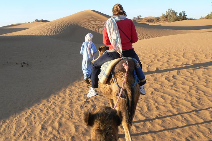 Camel trekking in the desert