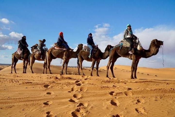 Camel Ride in Merzouga
