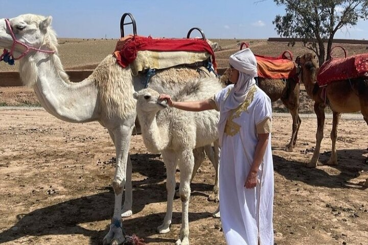 From Marrakesh: 4-Day Private Atlas Mountains & Desert Tour - Photo 1 of 21