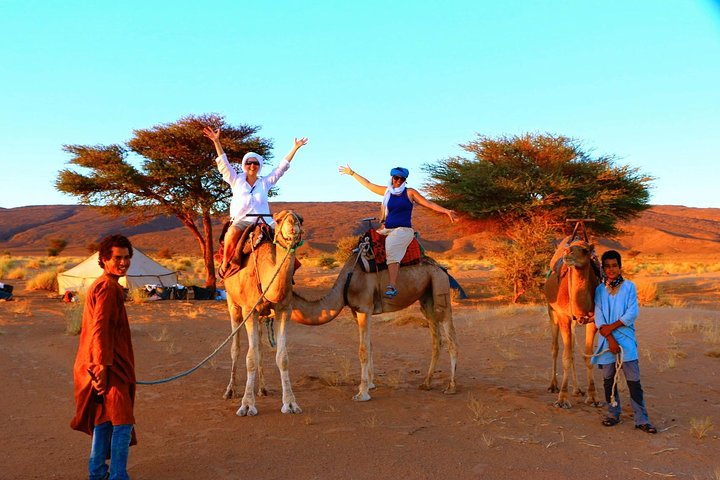 From Ouarzazate: Private 12 Days-Trekking in Draa Valley and Erg Chegaga dunes - Photo 1 of 25