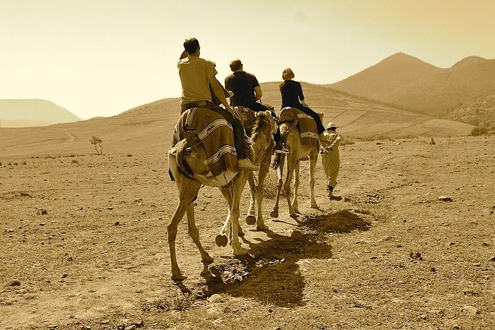 Full-Day Agafay Desert Adventure & Atlas Mountains from Marrakech - Photo 1 of 9