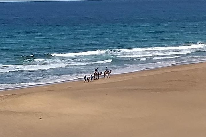 Full Day Excursion To Asilah&Tangier  - Photo 1 of 14