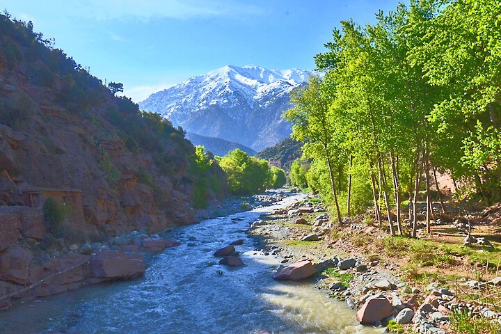 Full Day Excursion Tour to Ourika Valley - Photo 1 of 7