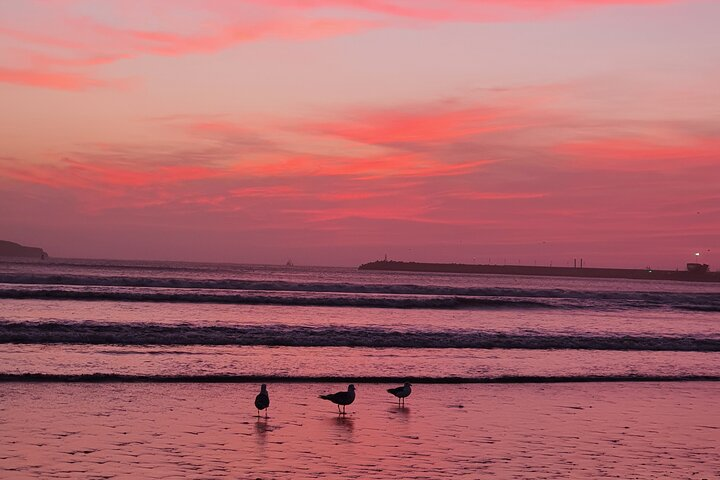 Full-Day Private Tour from Marrakesh - Photo 1 of 5