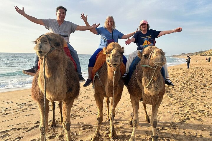 Full Day Private Tour of Tangier - Photo 1 of 15