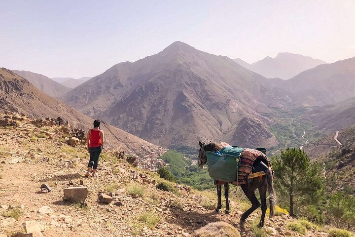 Imlil and Aremd Full Day Trek in Toubkal Valley of the High Atlas