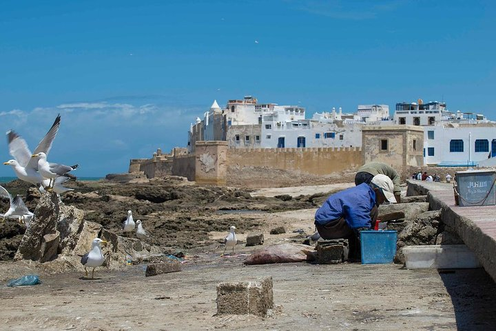 Full Day Trip Marrakech to Essaouira - Morocco ! - Photo 1 of 9