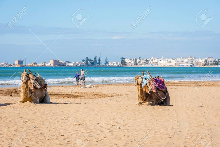 Full day trip to Essaouira Mogador and Atlantic coast from Marrakech - Photo 1 of 9