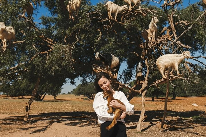 Goat on trees & Crocodile Park Including Tickets and Hotel Pickup - Photo 1 of 12