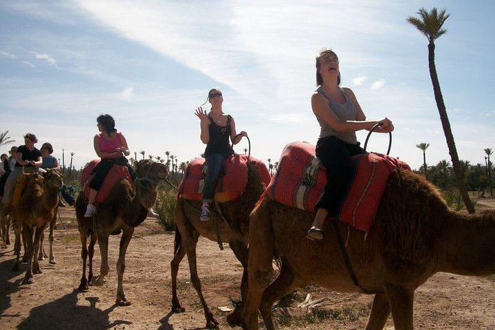 Agadir Camel Ride and Quad bike with berber tea and crocoparc  - Photo 1 of 14