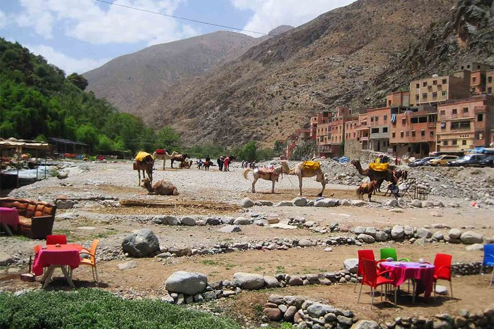 Guided Shared Day Trip paradis valley Day Trip Highlights from marrakech  - Photo 1 of 6