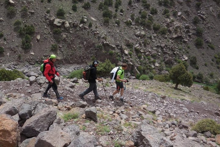 Half day Hiking between palm trees and valley in agadir  - Photo 1 of 5