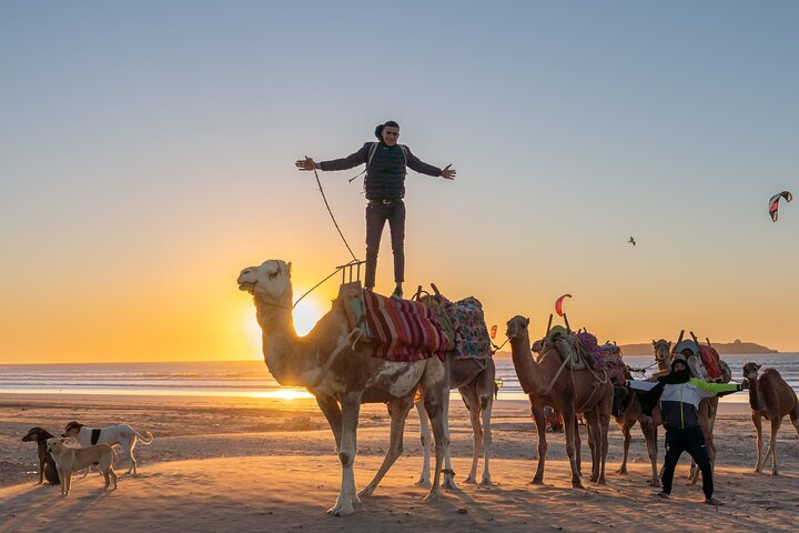 Half Day Marrakech Private Excursion - Photo 1 of 3