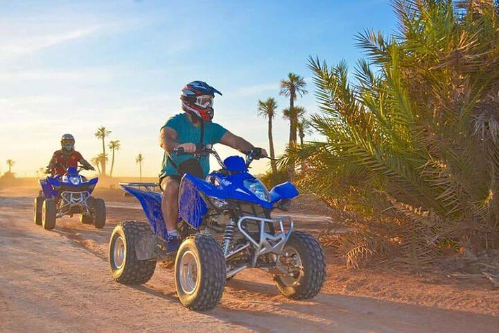 1/2 Day: Quad tour in the palm grove of Marrakech - Photo 1 of 8