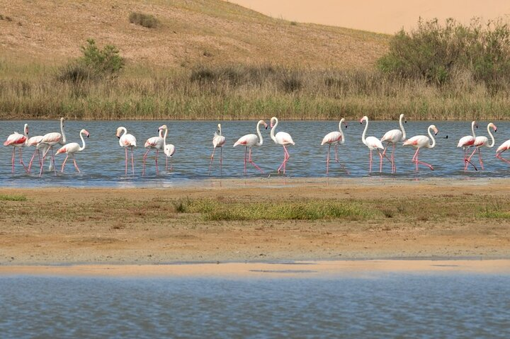 Half-Day Tour in Massa National Park with Professional Guide  - Photo 1 of 2