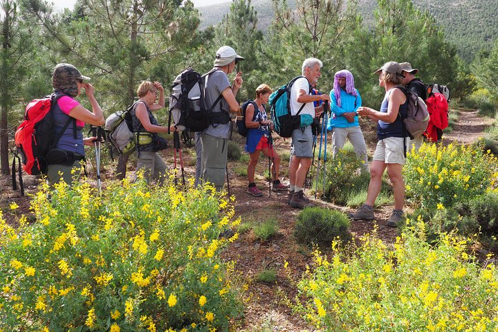 Nature, fauna and flora